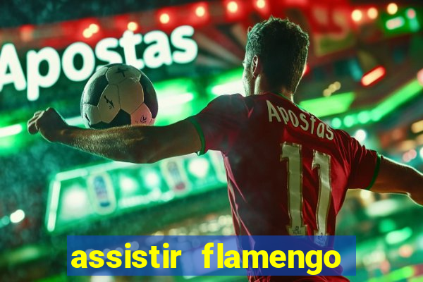 assistir flamengo futebol play hd